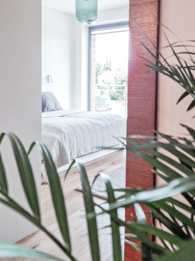 Apartament Vip Centrum 姆拉哥沃 外观 照片